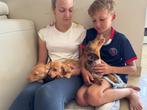 Prachtige dwergteckel pups, Dieren en Toebehoren, België, Fokker | Hobbymatig, Reu, 8 tot 15 weken