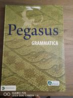 Pegasus grammatica, Boeken, Ophalen of Verzenden, Zo goed als nieuw, Nederlands