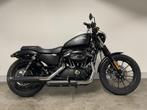 Harley-Davidson SPORTSTER XL883N IRON (bj 2014), Motoren, Motoren | Harley-Davidson, 883 cc, Meer dan 35 kW, Overig