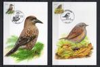Année 2008 : Carte maximum 3749-3750 - Oiseaux - Buzin - Obl, Ophalen of Verzenden