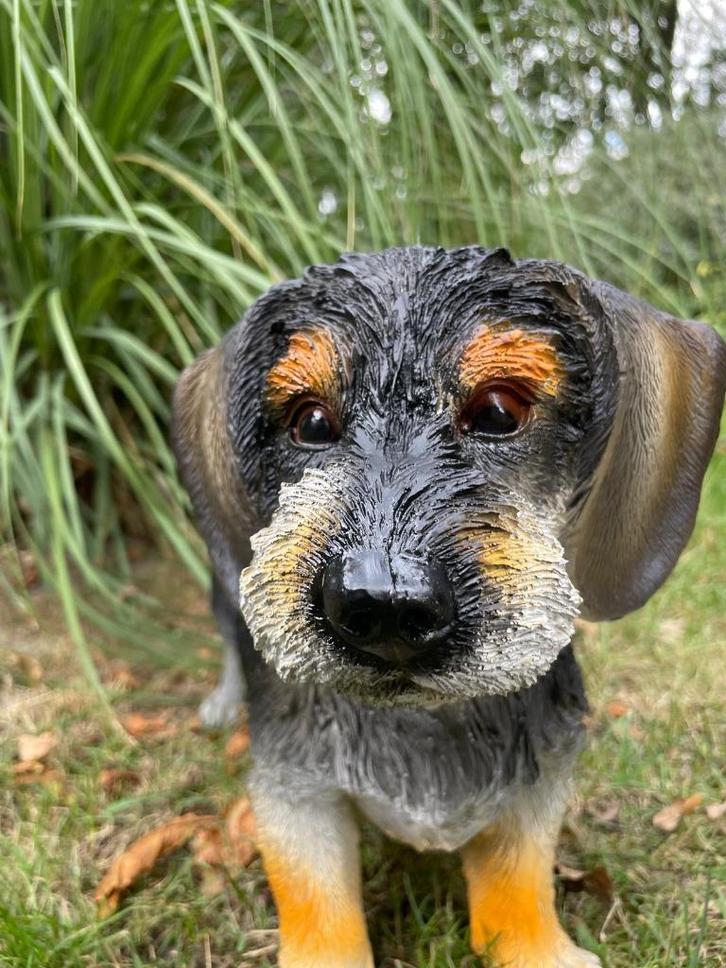 TuinBeeld teckel, tekkel, hond, tuin, gazon 50cm, Tuin en Terras, Tuinbeelden, Nieuw, Dierenbeeld, Kunststof, Ophalen of Verzenden