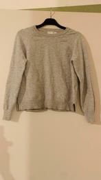 Lichte grijze trui van Primark, Kleding | Dames, Nieuw, Primark, Beige, Maat 34 (XS) of kleiner