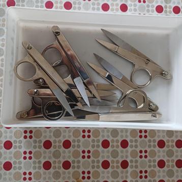 Scharen Naaigerief beschikbaar voor biedingen
