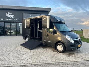 Opel STX Paardencamionette paardenwagen  beschikbaar voor biedingen
