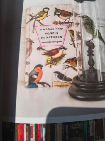 Gezocht: oud boekje vogels in kleuren  beschikbaar voor biedingen