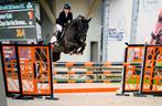 Prachtige 11jarige amateur paard te koop!!, Dieren en Toebehoren, Paarden, Springpaard, Gechipt, Ruin, Niet van toepassing
