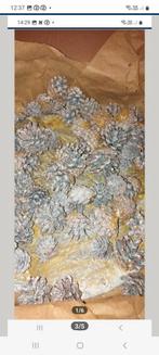 Boîte de pommes de pin, Divers, Enlèvement ou Envoi