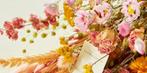 Groot lot droogbloemen, Ophalen, Nieuw
