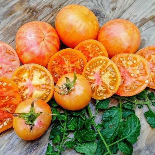 Beauty Queen - Graines de tomates, Jardin & Terrasse, Bulbes & Semences, Envoi