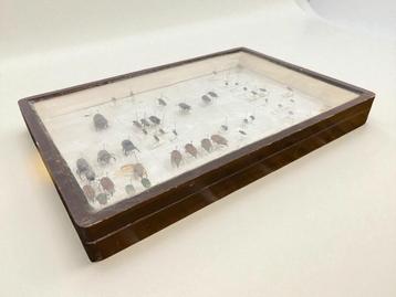 vintage biologie doos beschikbaar voor biedingen