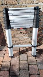 Telesteps telescopische ladder, 9 treden., Doe-het-zelf en Bouw, Ladders en Trappen, Ophalen, Zo goed als nieuw, Ladder