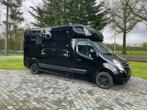 Hulshof Opel Movano Horse Truck Hengstenuitvoering, 2-paards trailer, Gebruikt, Ophalen of Verzenden