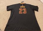 LeBron James 2016 Finals Jersey, Kleding | Heren, Ophalen, Zo goed als nieuw