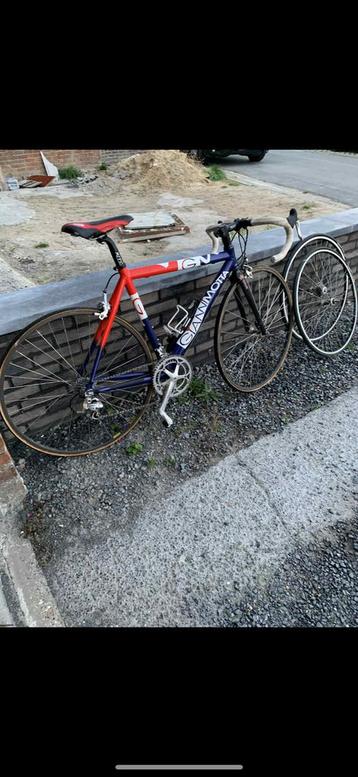 Gianni motta beschikbaar voor biedingen