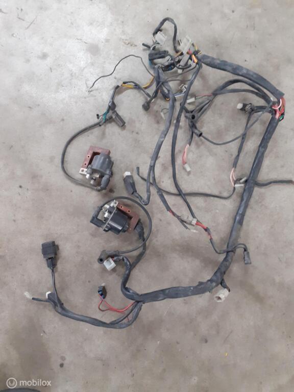 Kabelboom origineel draadboom bobines Paso 906, Motos, Pièces | Ducati, Utilisé, Enlèvement ou Envoi