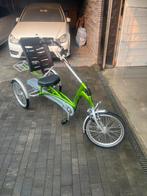 Van Raam Easy Rider 2 orthopedische driewieler, Ophalen of Verzenden, Zo goed als nieuw, Easy rider van raam