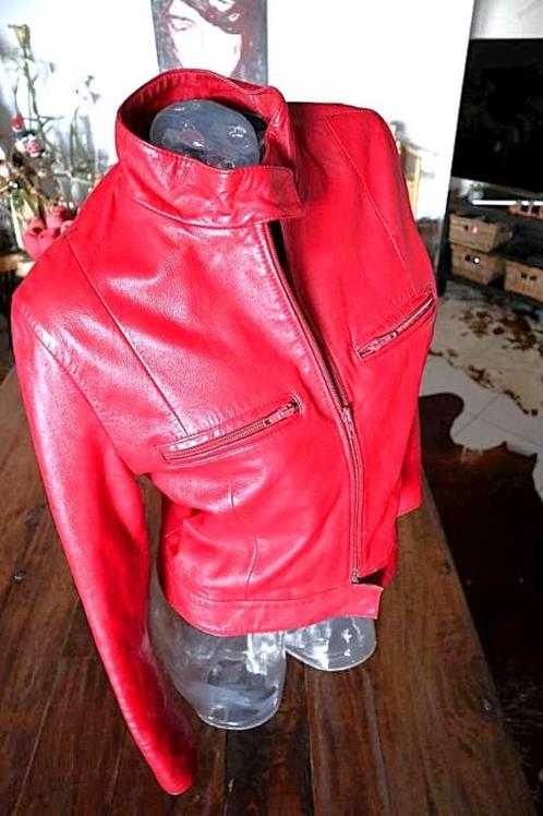 vintage rood lederen jas, Kleding | Dames, Jassen | Winter, Gedragen, Maat 38/40 (M), Rood, Ophalen of Verzenden