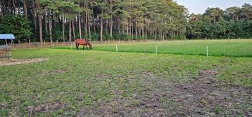 Buiten stal met weide te huur Wechelderzande