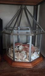 Serre met schelpen en zeesterren, Ophalen