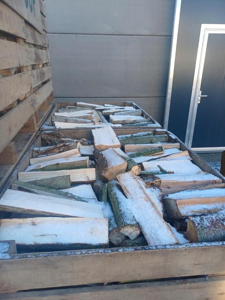 brandhout te koop, Tuin en Terras, Brandhout, Ophalen