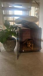 Gopets bench XL los of icm district 70 hoes, Dieren en Toebehoren, Ophalen