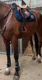 Tapis Hermès, Animaux & Accessoires, Enlèvement ou Envoi, Utilisé, Obstacle