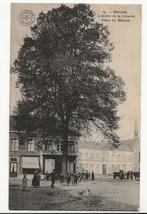 hamme postkaart pk vrijheidsboom marktplaats animatie, Oost-Vlaanderen, Ongelopen, Ophalen of Verzenden, Voor 1920