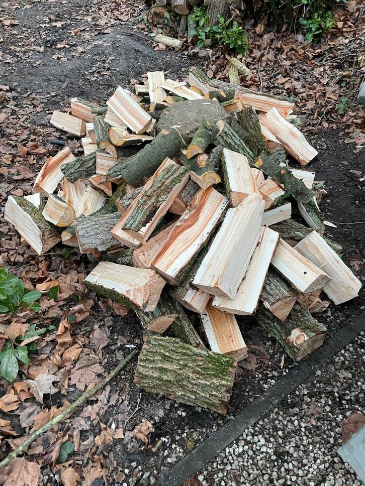 brandhout, Jardin & Terrasse, Bois de chauffage, Bûches, Enlèvement ou Envoi