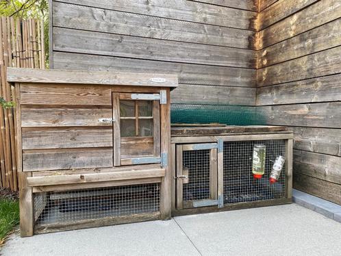 Konijnenhok met grijze minilop konijn, Dieren en Toebehoren, Knaagdieren en Konijnen | Hokken en Kooien, Gebruikt, Hok, 90 cm of meer