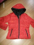 jas rood merk zara - maat s, Kleding | Dames, Zara, Ophalen of Verzenden, Maat 36 (S), Gedragen