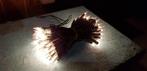 splinternieuwe kerstlampjes lampjes (100 lichtjes), Ophalen, Nieuw