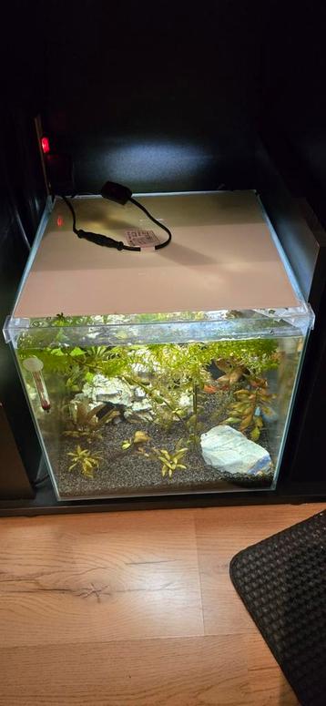Nano aquarium, 40L beschikbaar voor biedingen