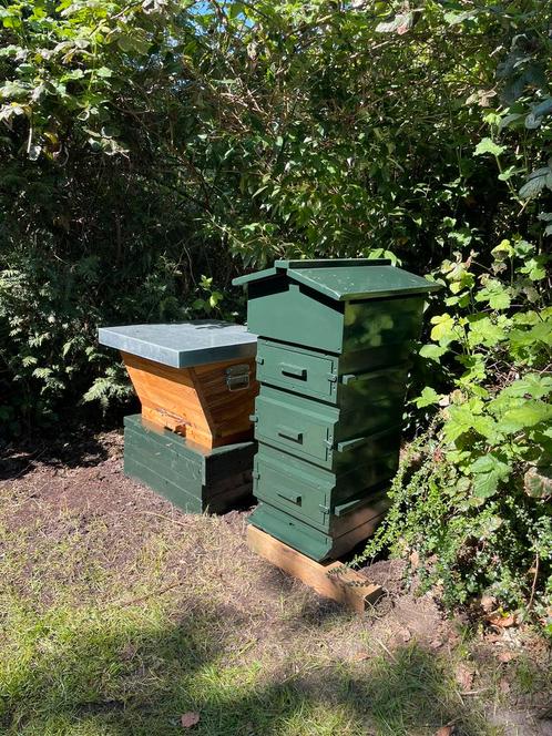 Warré bijenkast te koop, Dieren en Toebehoren, Insecten en Spinnen, Bijen
