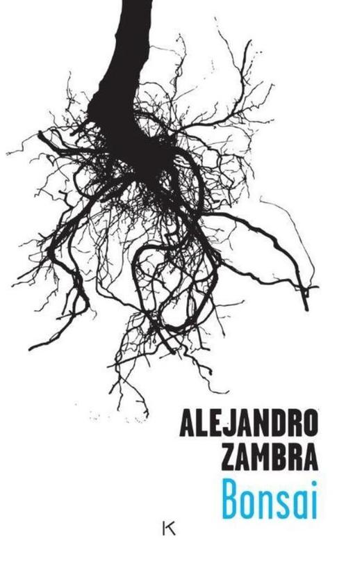 Te Koop Boek BONSAI Alejandro Zambra, Boeken, Romans, Gelezen, Wereld overig, Ophalen of Verzenden