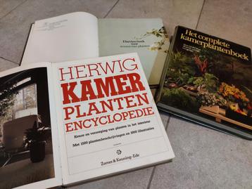 Gratis - 3 vintage boeken over kamerplanten beschikbaar voor biedingen