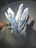 Kyaniet op staander, Verzamelen, Ophalen of Verzenden, Mineraal