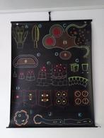 Affiche Pollen bloem, Ophalen, Gebruikt, Dier of Natuur