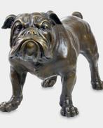 Groot Zwaar Bronzen Beeld van een Engelse Bulldog GRATIS LEV, Verzenden, Brons