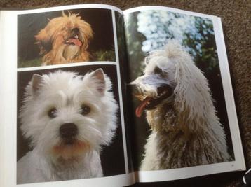 Een Boek van honden ,lieve huisdieren en schattig en lief