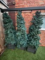 3 kerstbomen in bloembak met verlichting, Enlèvement, Utilisé