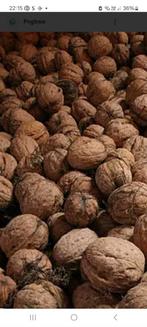 Noix - noix, Enlèvement ou Envoi