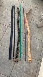 Riem ceinture uit te kiezen, Kleding | Dames, Riemen en Ceinturen, Ophalen of Verzenden, Zo goed als nieuw