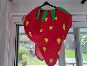 verkleedkledij aarbei beschikbaar voor biedingen