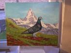 Peinture d'un pigeon primé