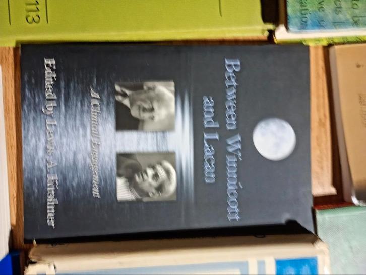 Kirchner. Between Winnicott and Lacan, Boeken, Psychologie, Ophalen of Verzenden