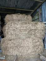 foin 2025, Enlèvement, Autres espèces