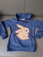 sweater, Someone maat 116, Kinderen en Baby's, Kinderkleding | Maat 116, Ophalen, Gebruikt, Jongen of Meisje, Trui of Vest