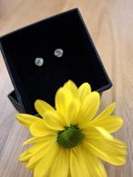 0,5 karaat diamanten oorbel 18 karaat witgoud, Ophalen, Wit, Zo goed als nieuw, Met edelsteen
