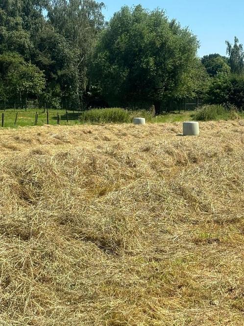 Hooi midibalen 2025, Dieren en Toebehoren, Stalling en Weidegang