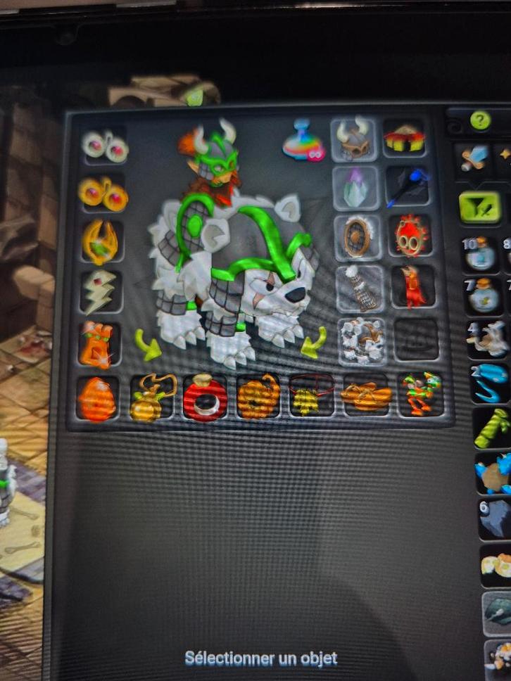 Dofus, Consoles de jeu & Jeux vidéo, Jeux | PC, Enlèvement